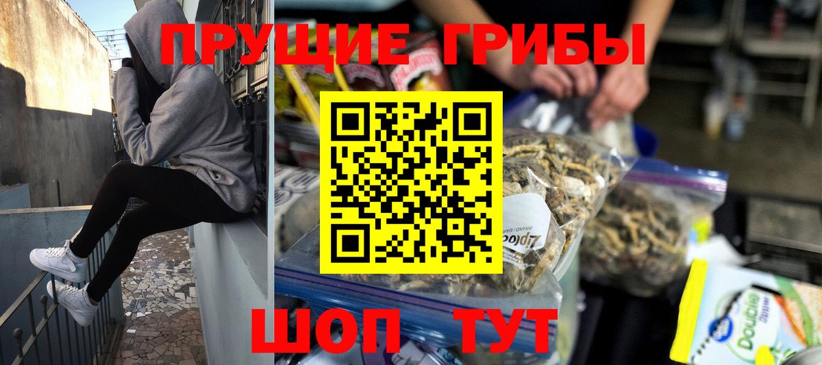 Псилоцибиновые грибы прущие грибы Озёры